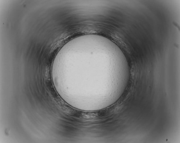 X0000103130359200808221047