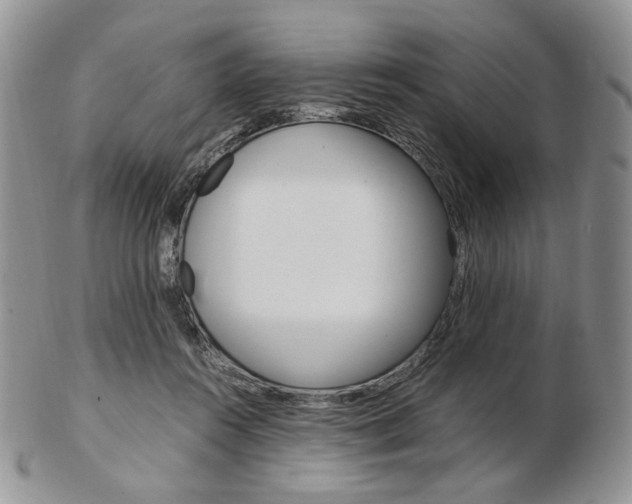 X0000103130360200808221047