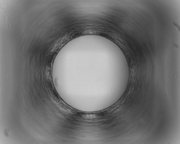 X0000103130361200808221047