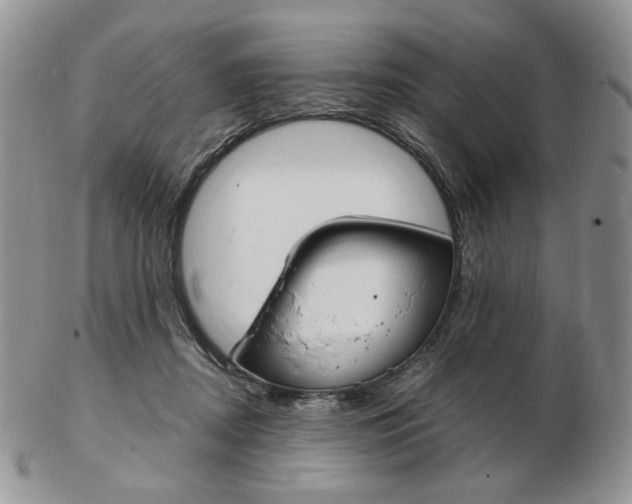 X0000103130362200808221047