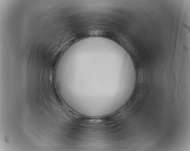 X0000103130363200808221047