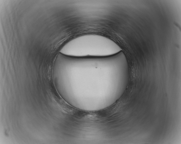 X0000103130364200808221047