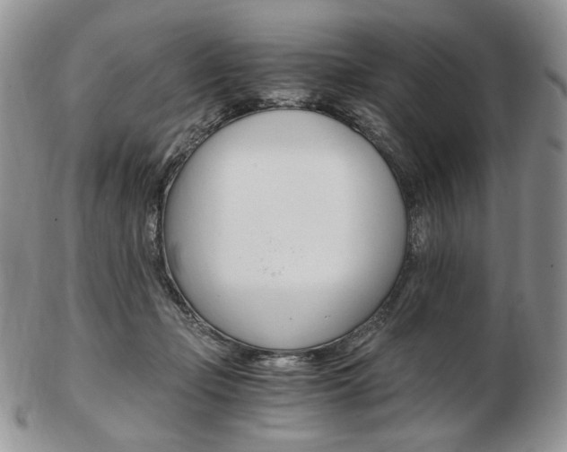 X0000103130365200808221047