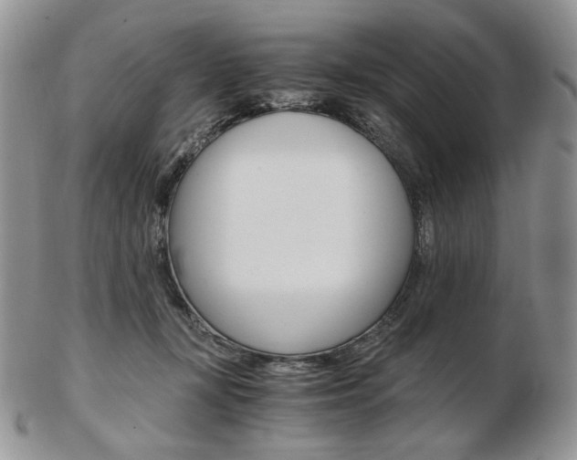 X0000103130367200808221047