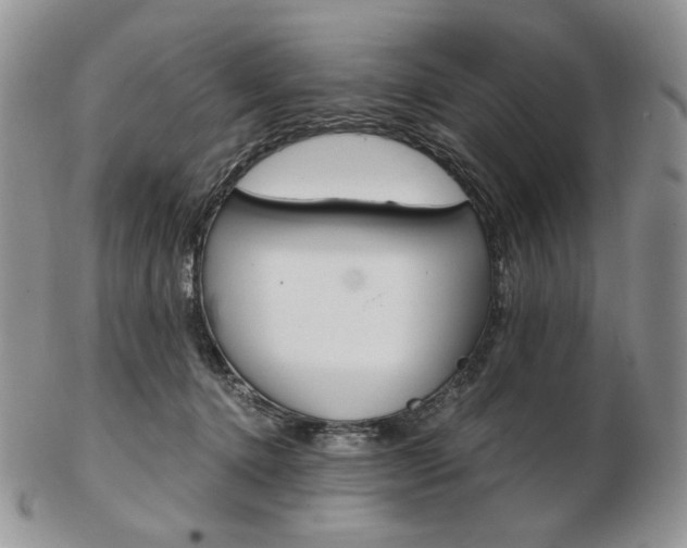 X0000103130368200808221047