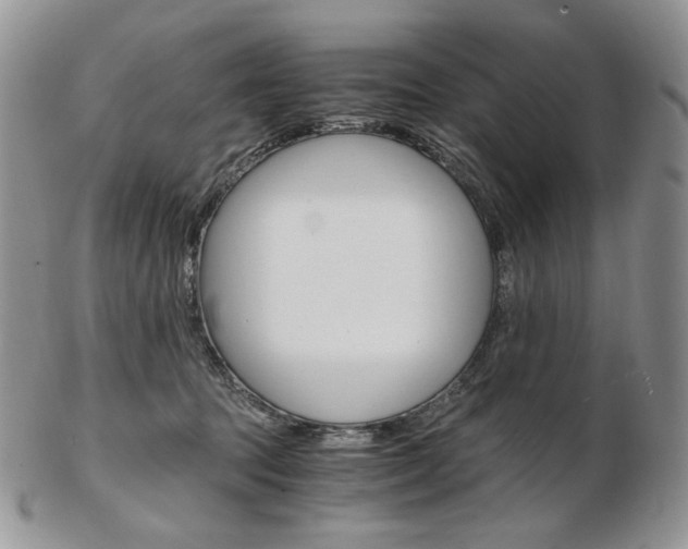 X0000103130369200808221047