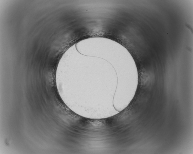 X0000103130370200808221047