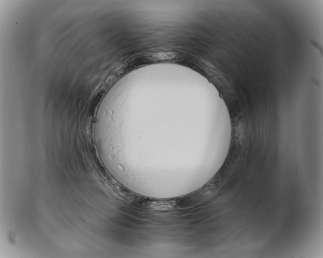X0000103130373200808221047