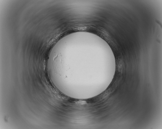 X0000103130374200808221047