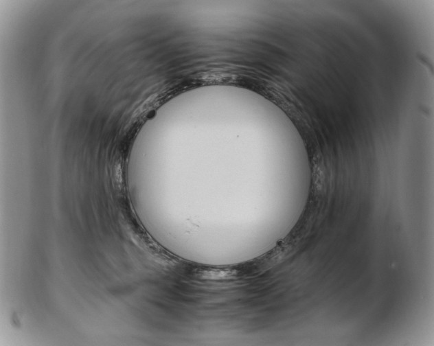 X0000103130375200808221047
