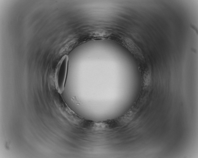 X0000103130376200808221047