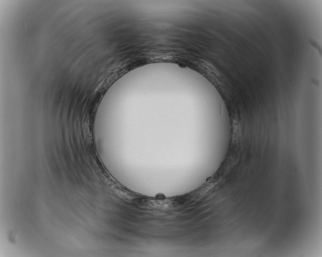 X0000103130377200808221047