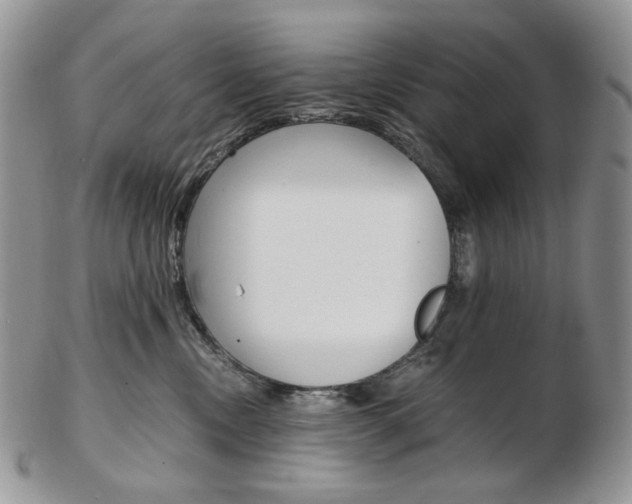 X0000103130378200808221047