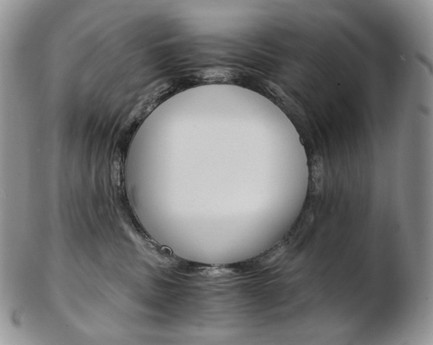 X0000103130379200808221047