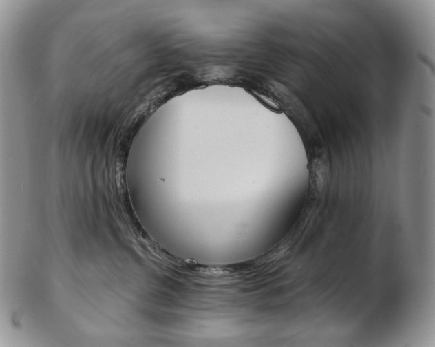 X0000103130380200808221047