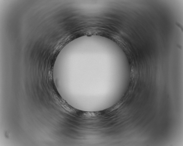 X0000103130381200808221047