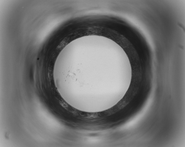 X0000103130382200808221047