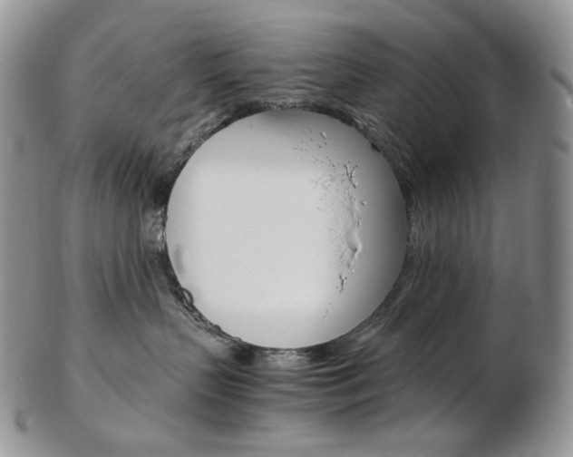 X0000103130383200808221047