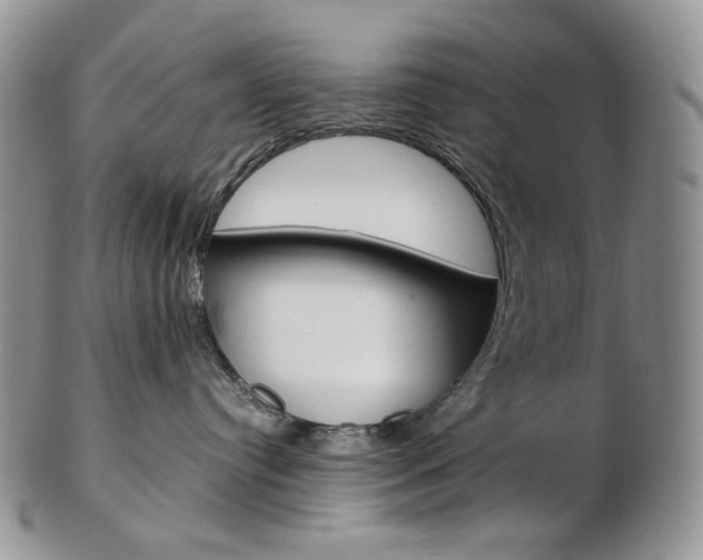 X0000103130384200808221047