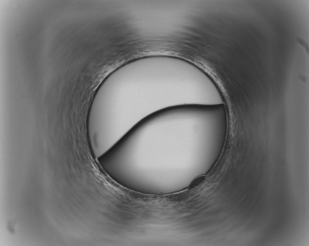 X0000103130385200808221046