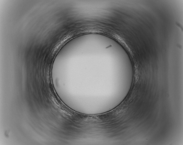 X0000103130386200808221046