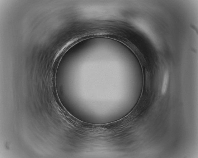 X0000103130387200808221046