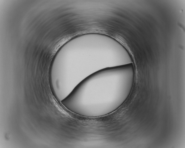 X0000103130389200808221046