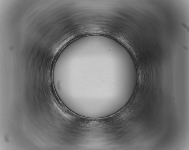 X0000103130390200808221046