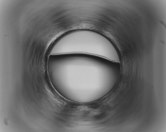 X0000103130392200808221046