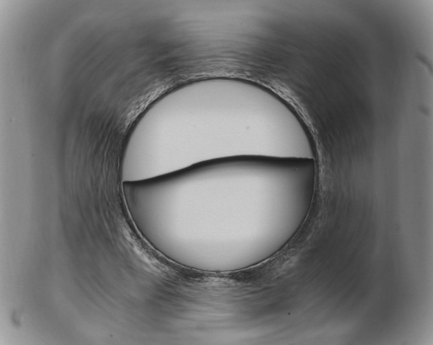 X0000103130393200808221046