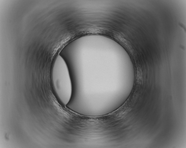 X0000103130394200808221046