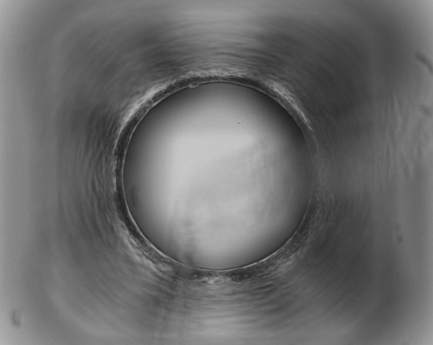 X0000103130395200808221046