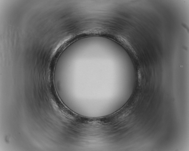 X0000103130396200808221046