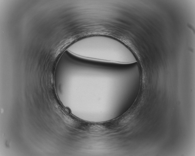 X0000103130397200808221046