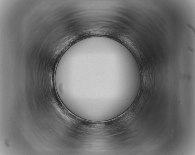 X0000103130398200808221046
