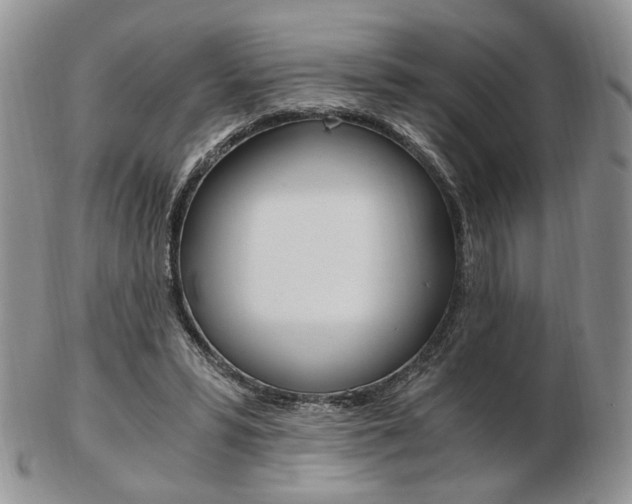 X0000103130399200808221046