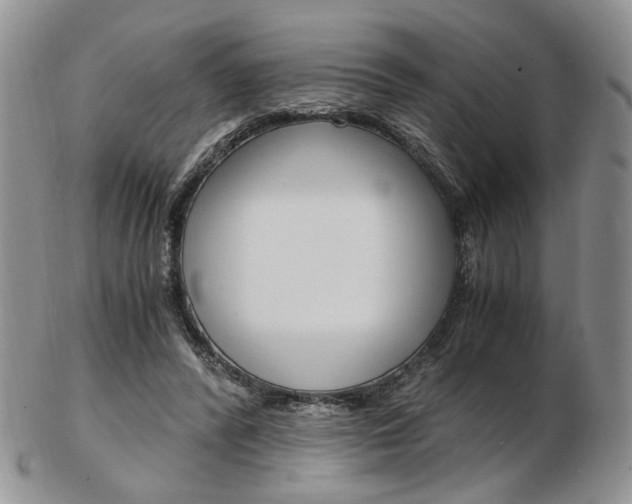 X0000103130400200808221046