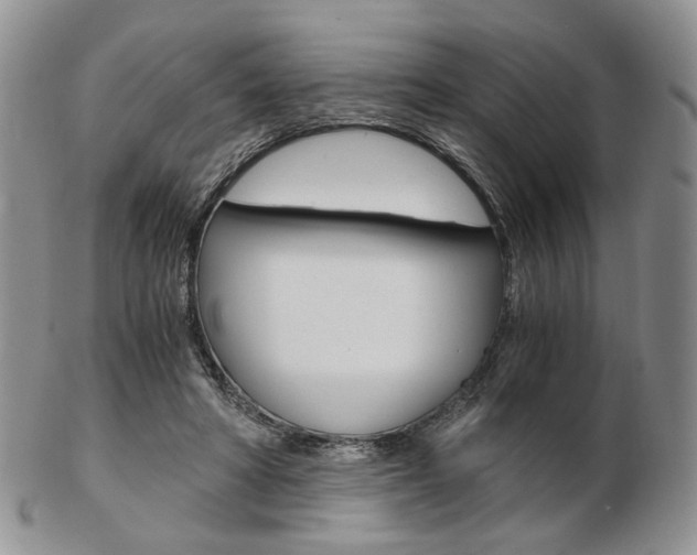 X0000103130402200808221046