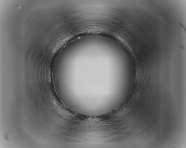 X0000103130403200808221046