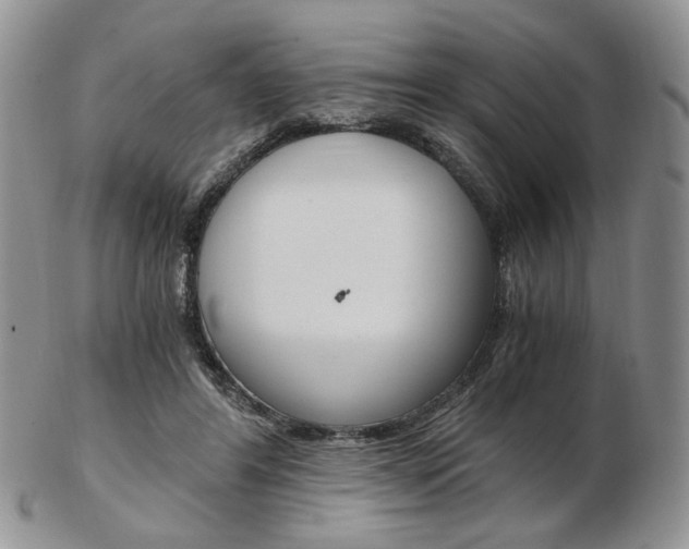 X0000103130404200808221046
