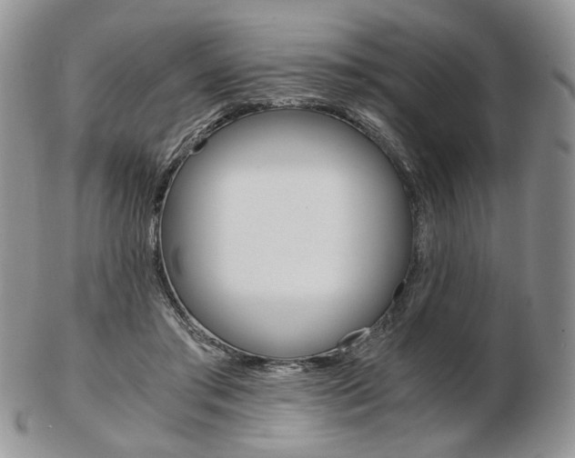 X0000103130405200808221046
