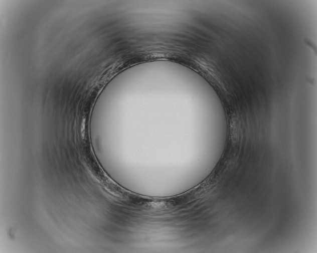 X0000103130406200808221046