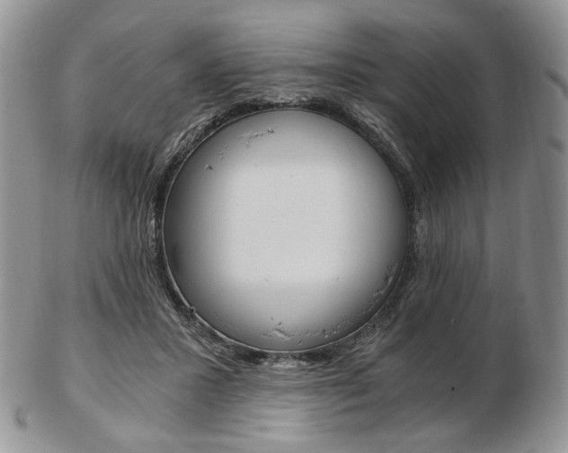 X0000103130407200808221046