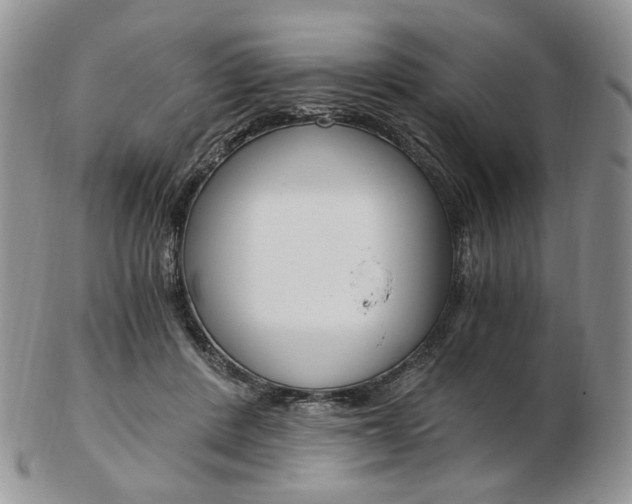 X0000103130408200808221046