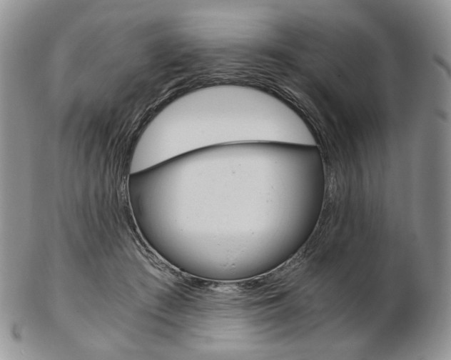 X0000103130409200808221046