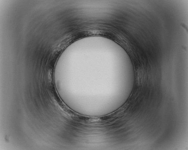 X0000103130410200808221046