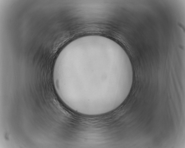 X0000103130411200808221046