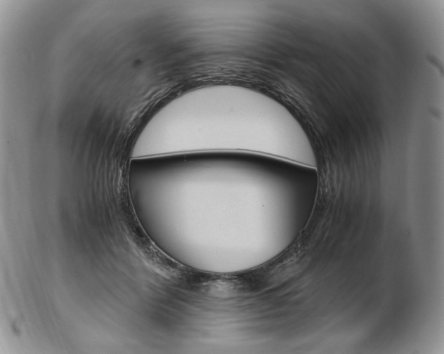 X0000103130412200808221046