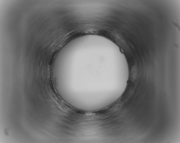 X0000103130413200808221046