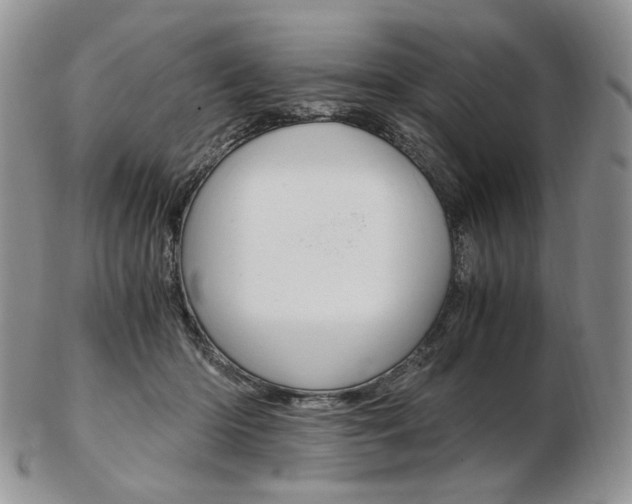 X0000103130414200808221046